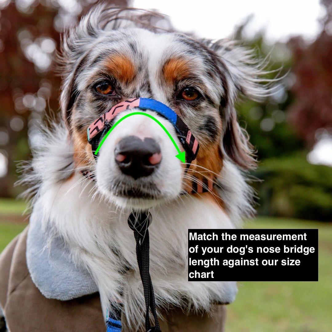 Evergreen Halter - Evergreen