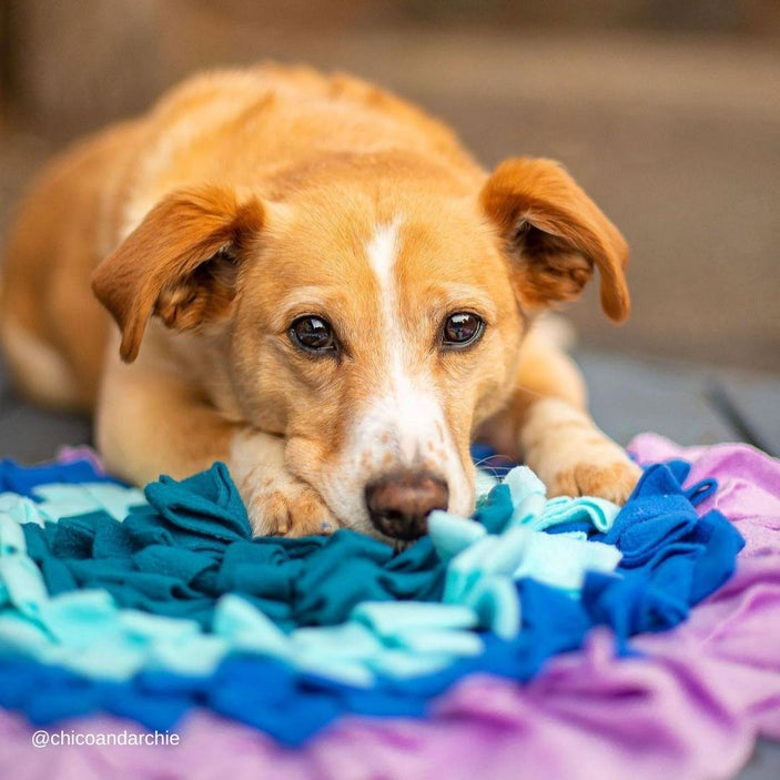 Iris Bloom Snuffle Mat