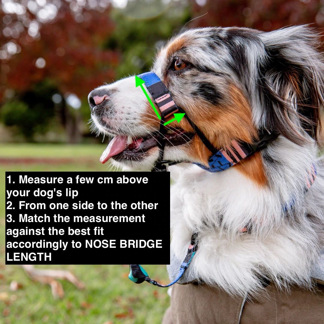 Blackout Halter - Blackout