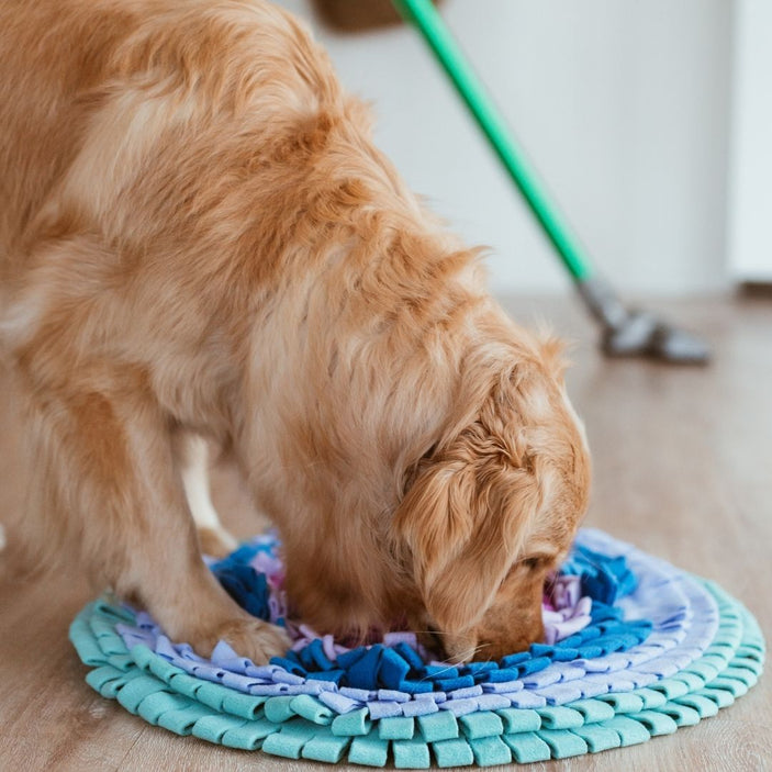 Santiago Snuffle Mat