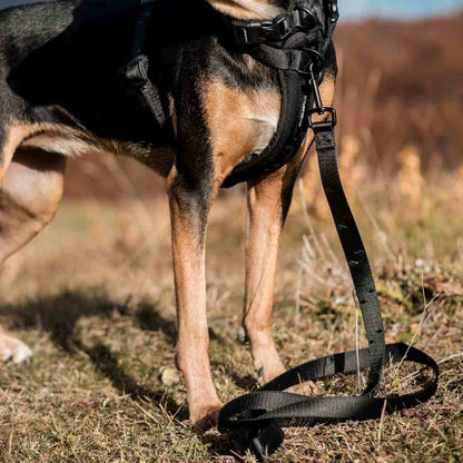 Blackout Leash - Blackout