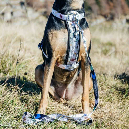 Evergreen Leash - Evergreen