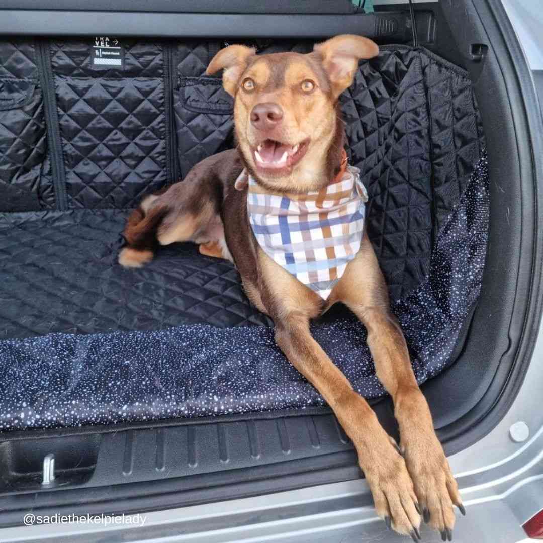 Car boot dog protective cover best sale