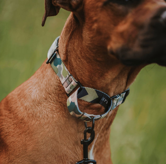 On Duty Martingale Training Collar