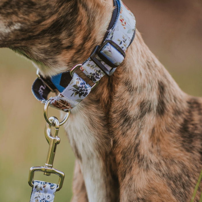 Evergreen Martingale Training Collar