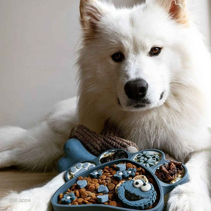 2in1 Lick Bowl Slow Feeder