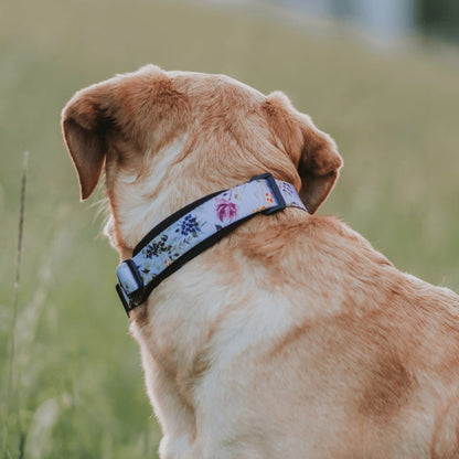 Evergreen Martingale - Evergreen