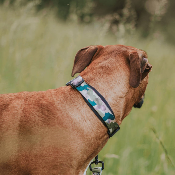 On Duty Martingale Training Collar