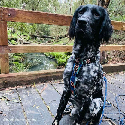Gumball Explorer Chest Plate