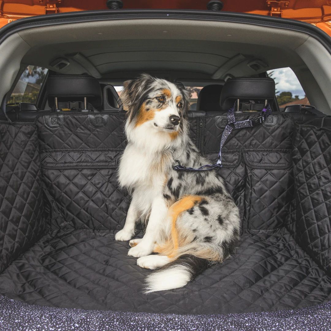 Boot Cover with Drawstring Bag