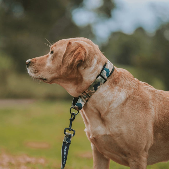 On Duty Martingale Training Collar