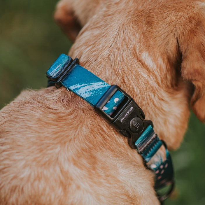 Nova Martingale Training Collar