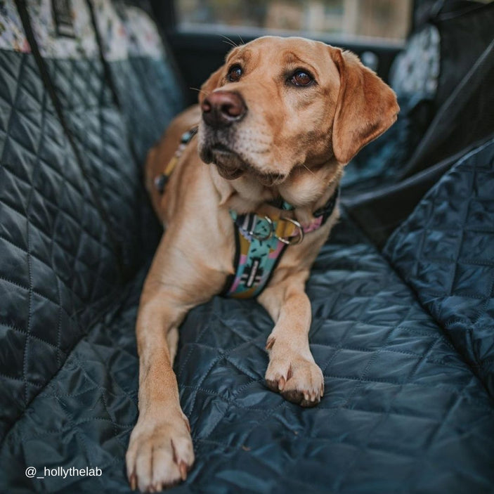 Evergreen Back Seat Cover w Travel Bag