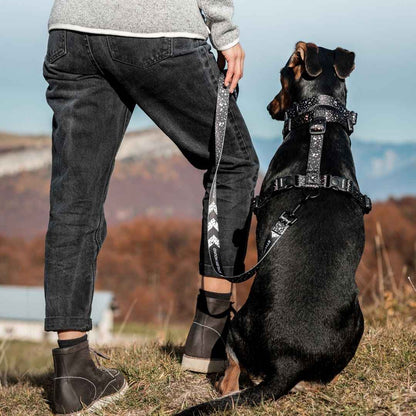 Jackson Leash - Jackson