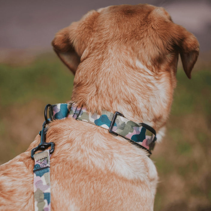 On Duty Martingale Training Collar