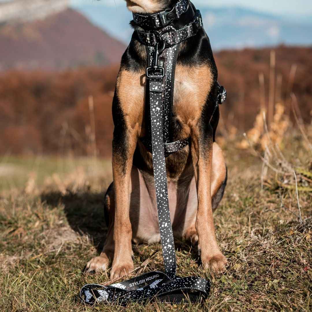 Jackson Leash - Jackson