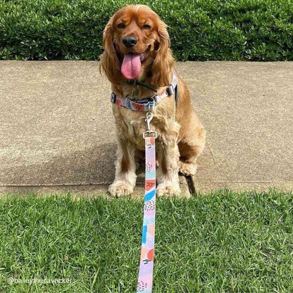 Newtown Leash - Newtown