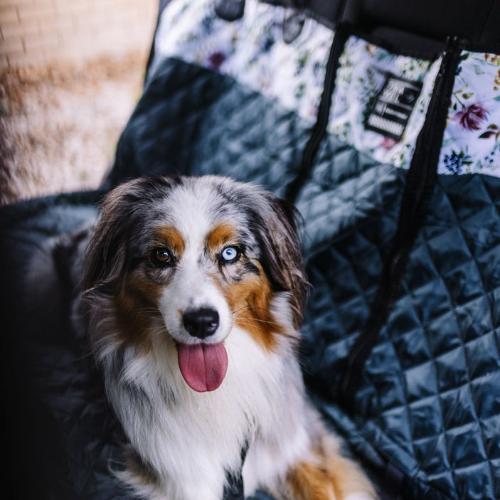 Evergreen Back Seat Cover w Travel Bag