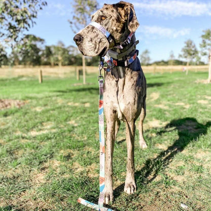 Newtown Halter - Newtown