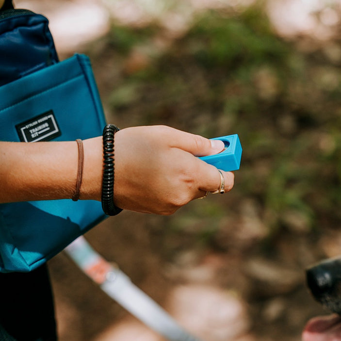 Blue Training Clicker