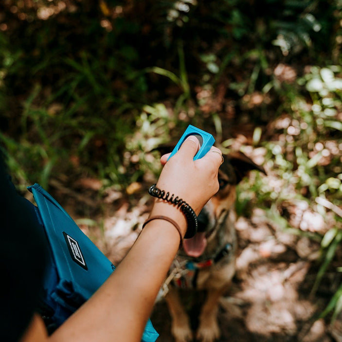 Blue Training Clicker