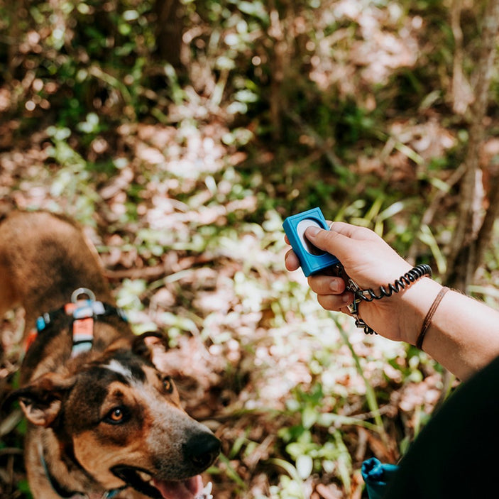 Blue Training Clicker