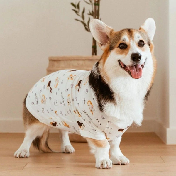 Corgi pyjama store