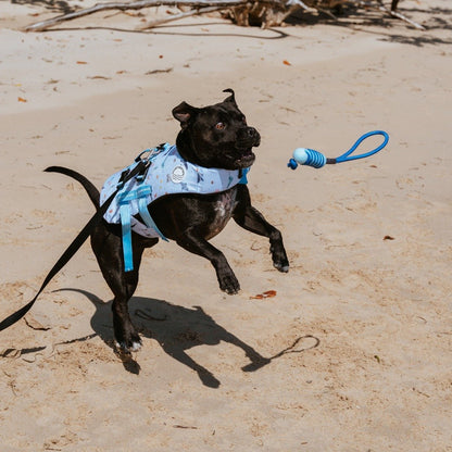 Fresh Blue Hydro Stick - Fresh Blue