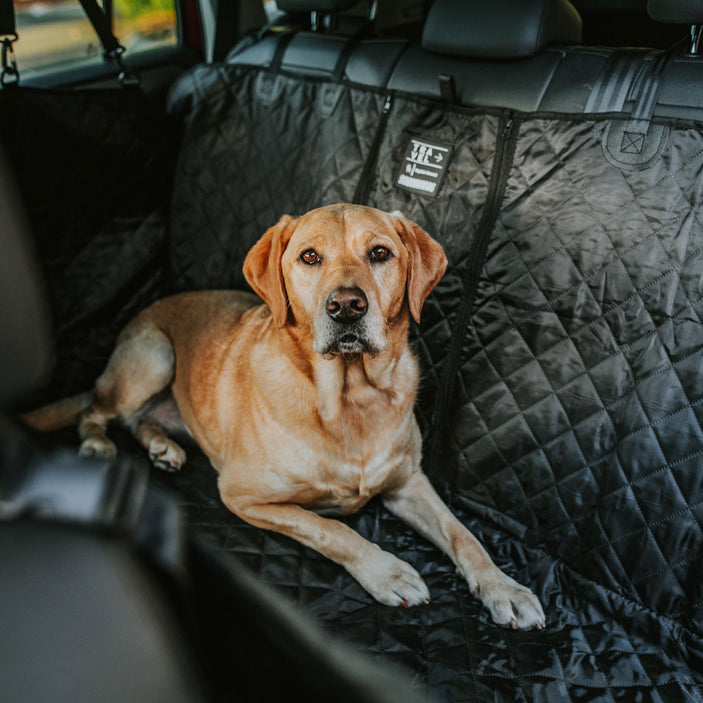 black-back-seat-cover-w-travel-bag