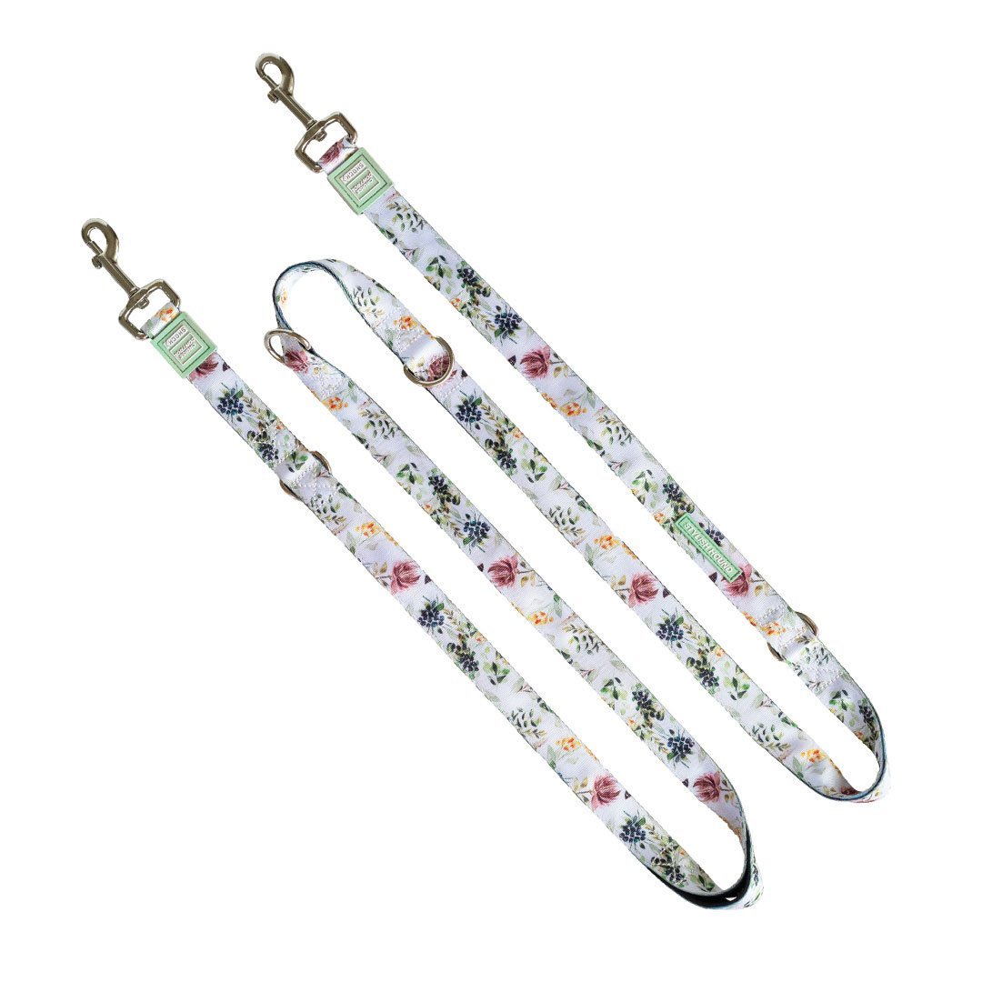 Evergreen Multi-Function Leash - Evergreen