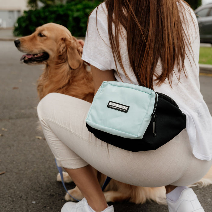 Baby Blue Express Pouch