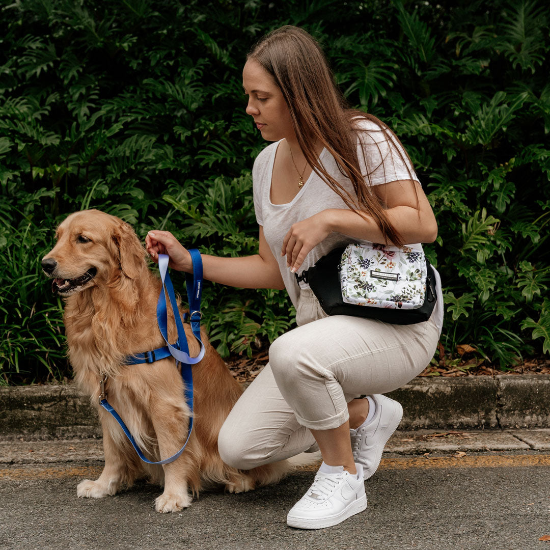 Evergreen Express Pouch - Evergreen