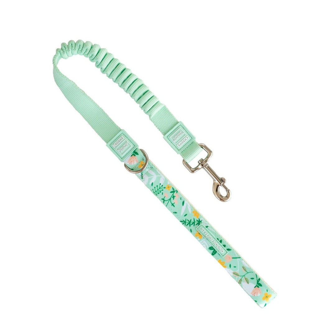Flora Cruise Control Obedience Leash