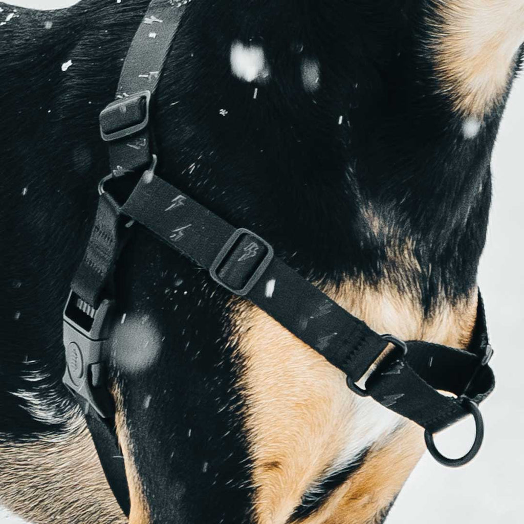Blackout RNT No-Pull Training Harness - Blackout