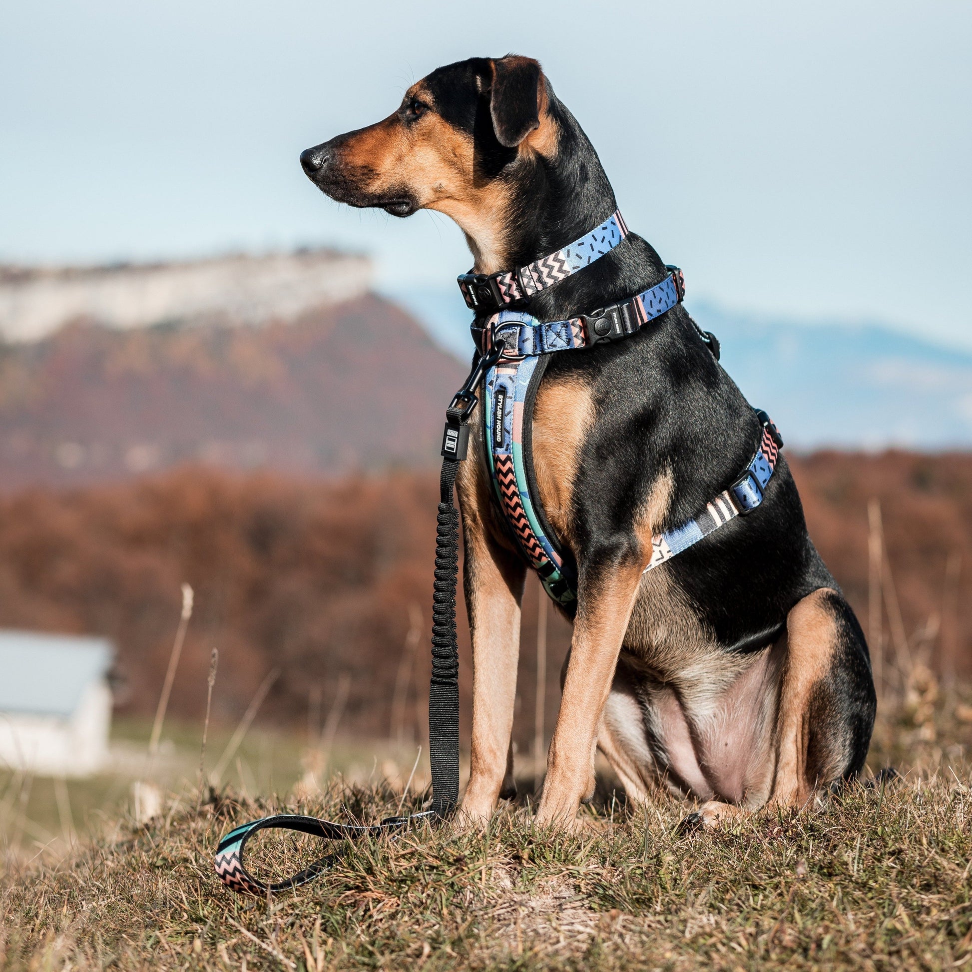 Gumball Chest Plate - Gumball
