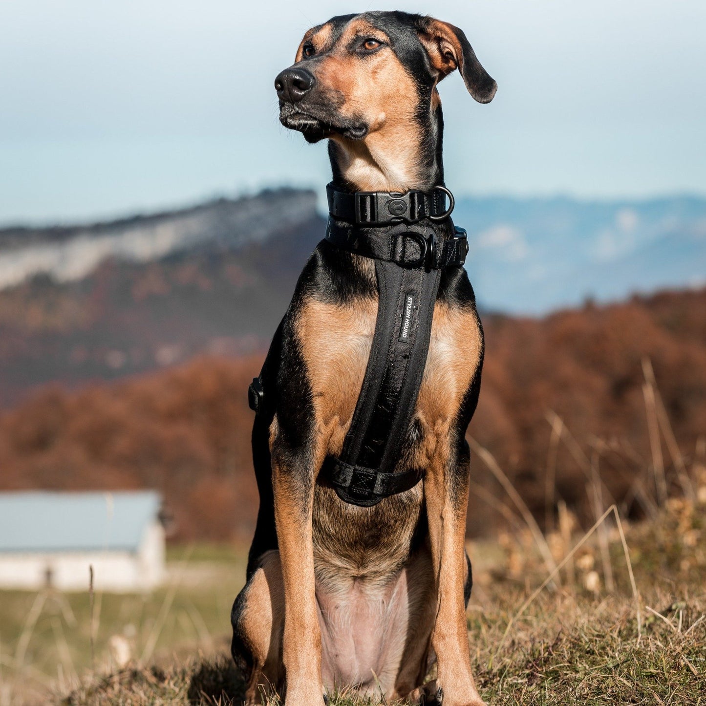 Blackout Explorer Chest Plate - Blackout 