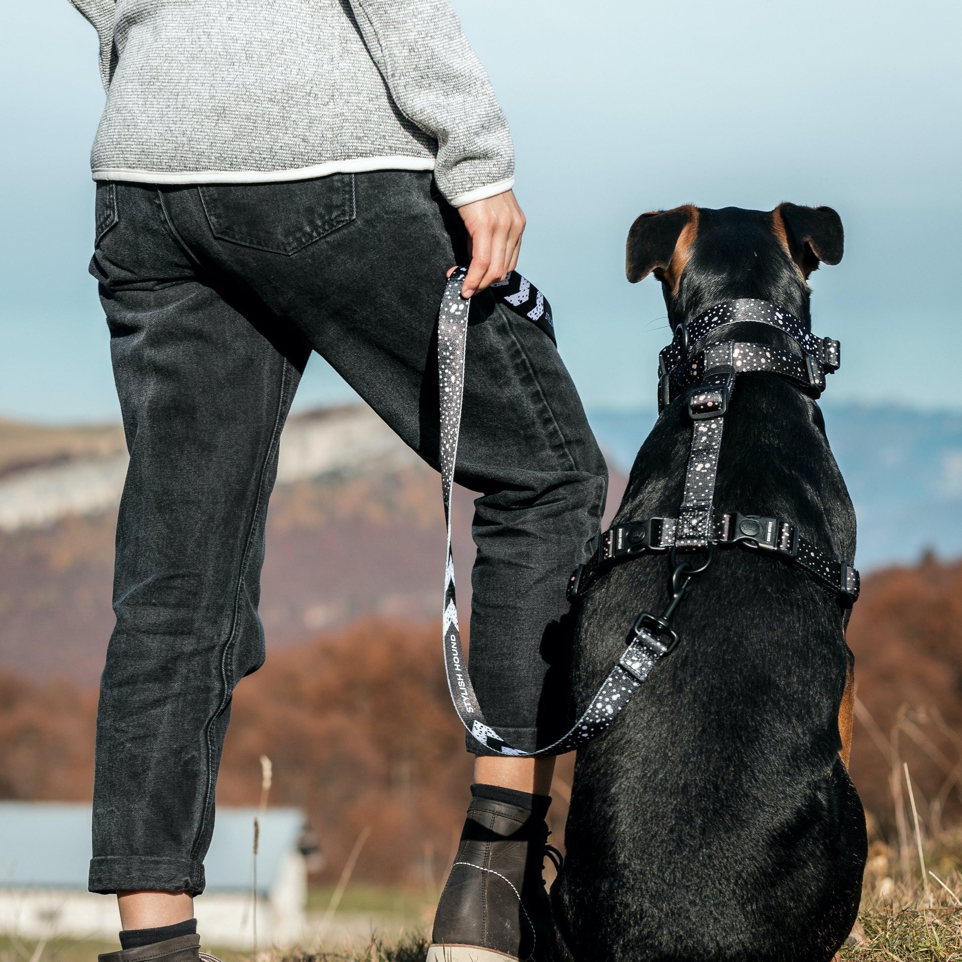 Jackson Explorer Chest Plate - Jackson