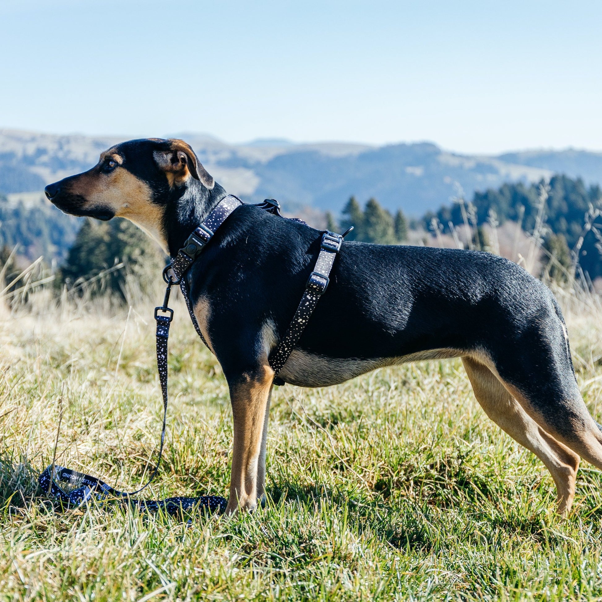 Jackson Explorer Chest Plate - Jackson