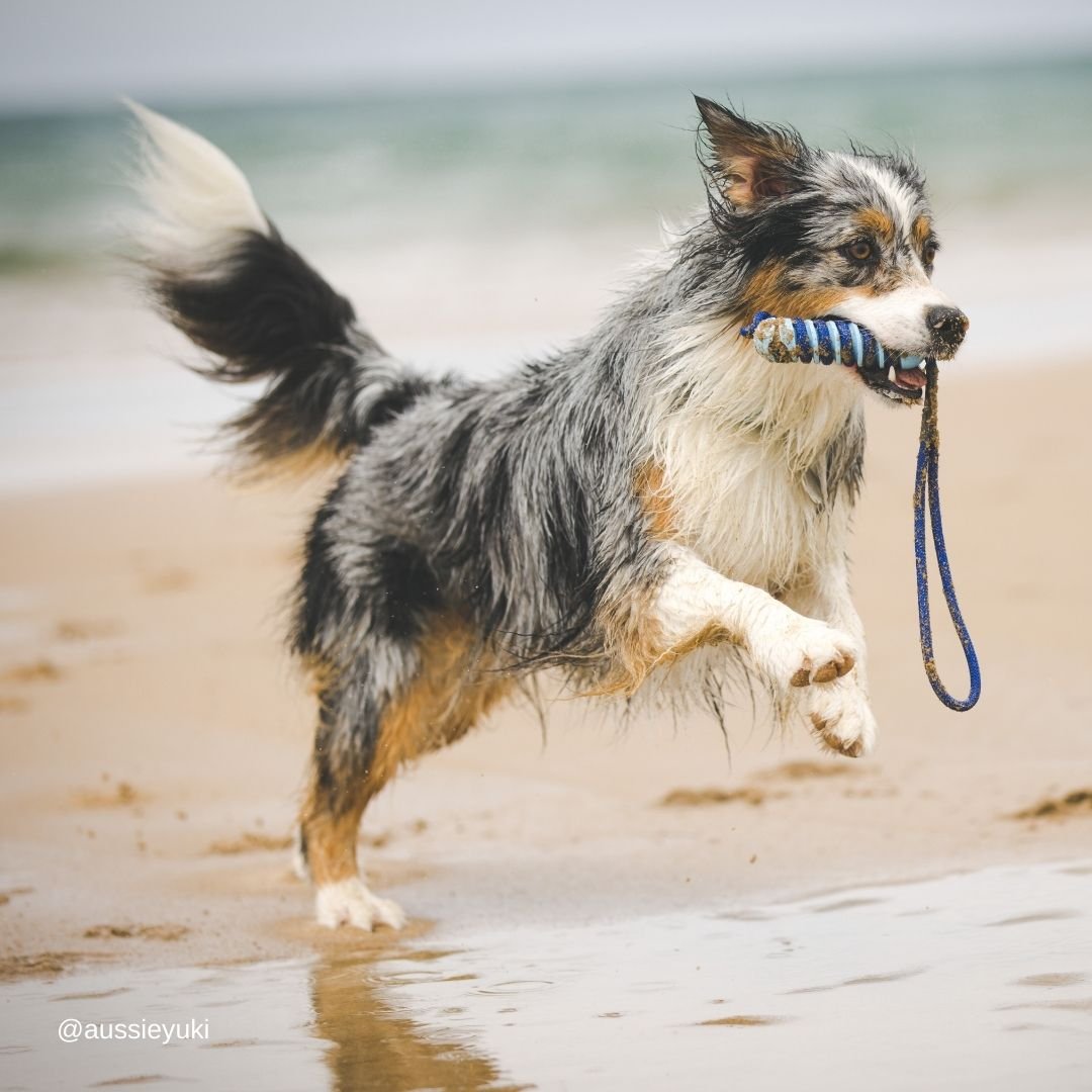 Fresh Blue Hydro Stick - Fresh Blue