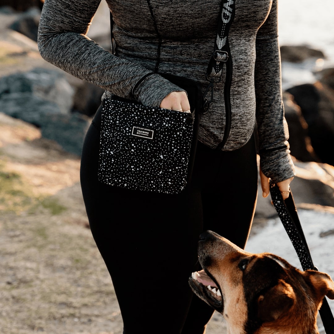 OG Training Treat Pouch