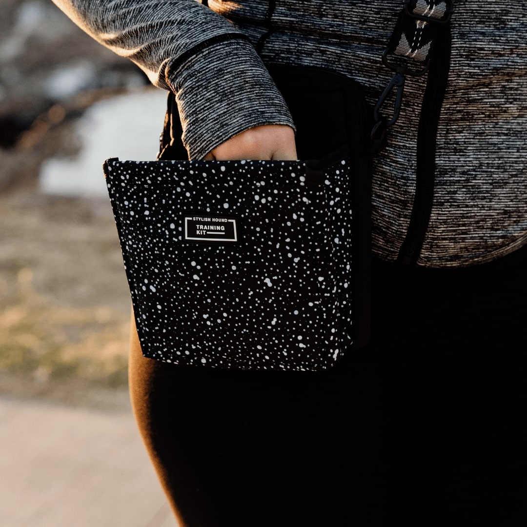 OG Training Treat Pouch