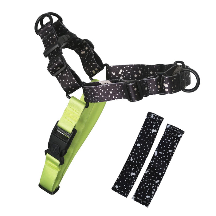 Jackson RNT No-Pull Training Harness - Jackson