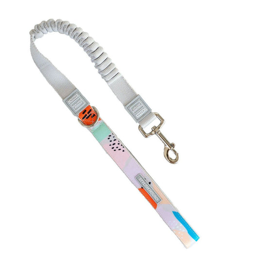 Newtown CC Leash - Newtown