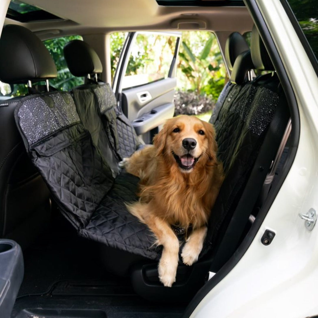 Airflow pet seat store cover