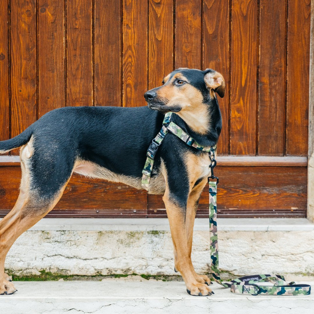On Duty OG No-Pull Training Harness - On Duty