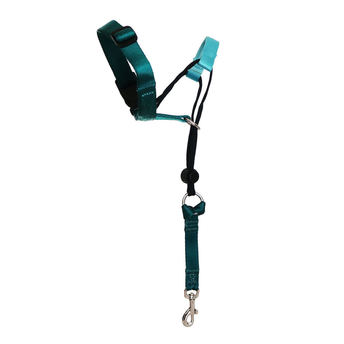 Quartz Halter+ Safety Clip