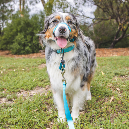 Quartz Halter - Quartz