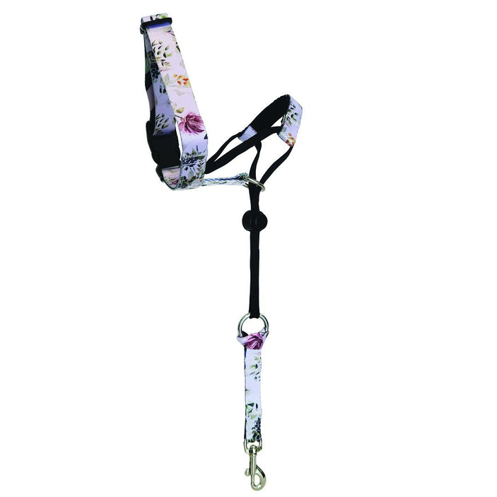 Evergreen Halter+ Safety Clip
