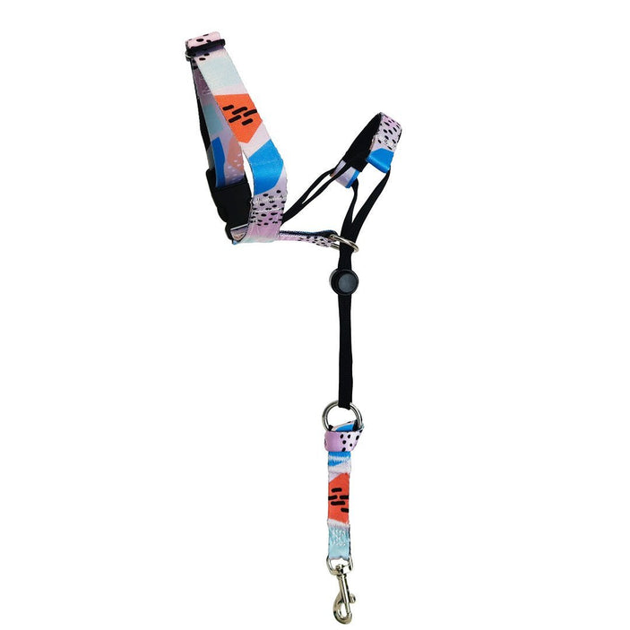 Newtown Halter+ Safety Clip