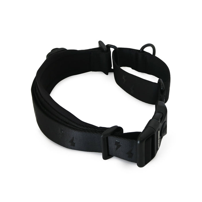 Blackout Martingale Training Collar